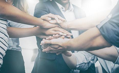 group of hands in a team building pose